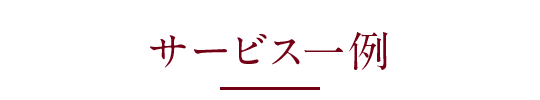 サービス一例